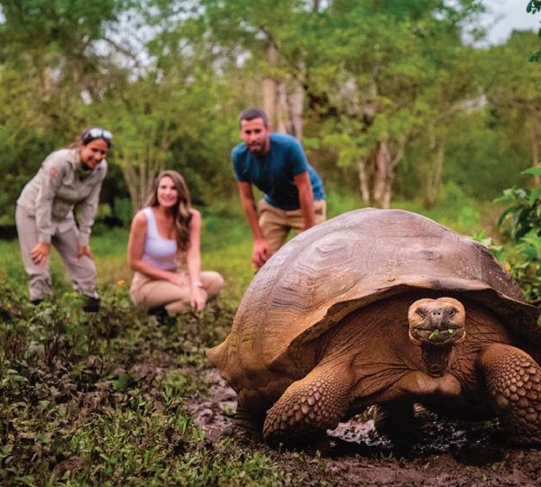 Link Experiences Ecuador, Galapagos Islands and Peru
