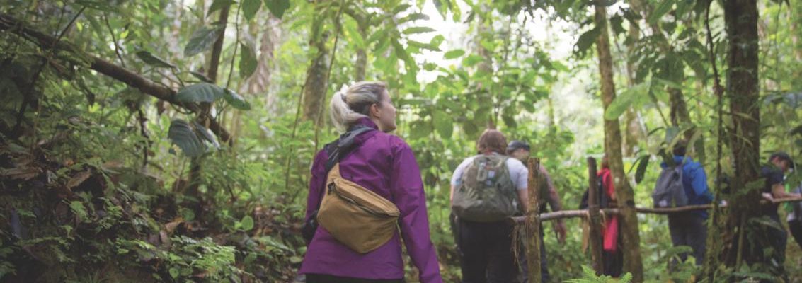 Rainforest walk in the Amazon of Ecuador with Minga Lodge & Sanctuary - Link Experiences